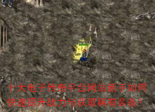 ʮ����Ӵ���ƽ̨��վ������ο�������ս�����ȡϡ��װ����