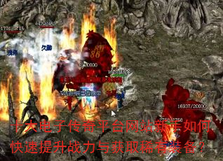 ʮ����Ӵ���ƽ̨��վ������ο�������ս�����ȡϡ��װ����