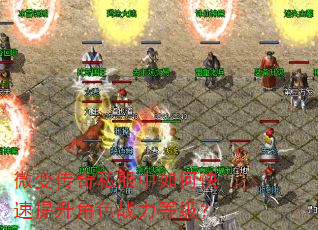 ΢�䴫��˽������ο���������ɫս���ȼ���