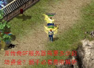 ������SF��������Ҫ���������ʽ����ֱؿ����ý���