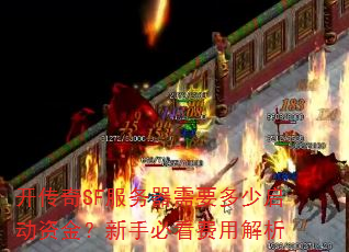 ������SF��������Ҫ���������ʽ����ֱؿ����ý���