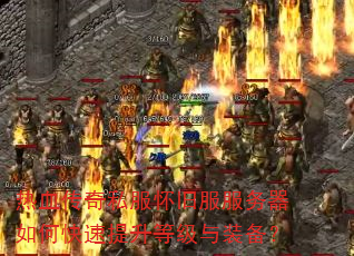 ��Ѫ����˽�����ɷ���������ο��������ȼ���װ����