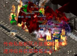 ����˽���������ź���ο��ٳ弶����ȡϡ��װ����