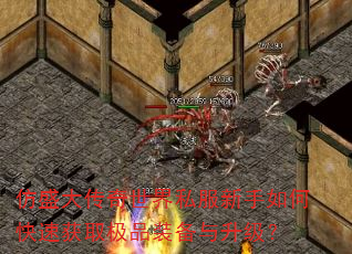 ��ʢ��������˽��������ο��ٻ�ȡ��Ʒװ����������