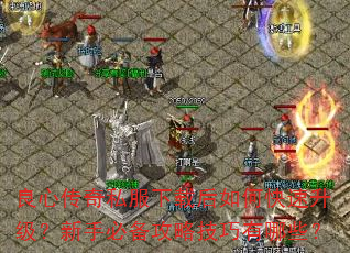 ���Ĵ���˽�����غ���ο������������ֱر����Լ�������Щ��