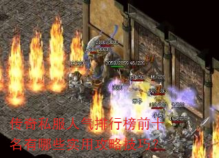 ����˽���������а�ǰʮ������Щʵ�ù��Լ��ɣ�