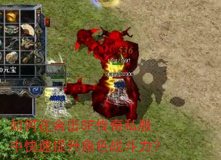 ����ںϻ�SF����˽���п���������ɫս������