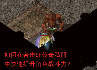 ����ںϻ�SF����˽���п���������ɫս������