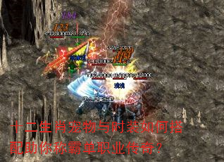 ʮ����Ф������ʱװ��δ�������ưԵ�ְҵ���棿