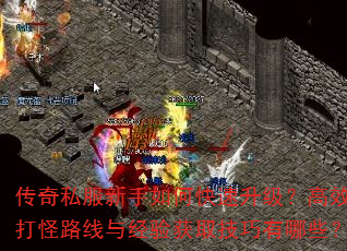 ����˽��������ο�����������Ч���·���뾭���ȡ��������Щ��