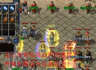 ���Ĵ���˽����ο���������ɫ�ȼ���װ��ս����