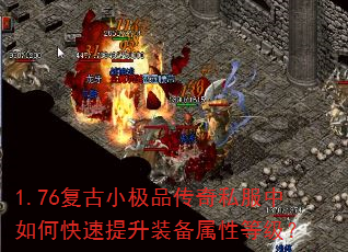 1.76����С��Ʒ����˽������ο�������װ�����Եȼ���