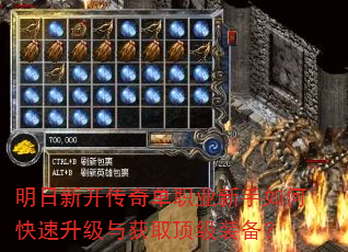 �����¿����浥ְҵ������ο����������ȡ����װ����