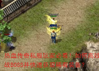 ��Ѫ����˽����ұؿ�����θ�Ч��սBOSS�����ٻ�ȡϡ��װ����