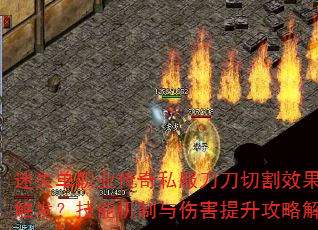 ��ʧ��ְҵ����˽�������и�Ч����δ��������ܻ������˺��������Խ���