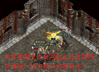 �¿���ְҵ������վ���ߺ���ο�������ս����Ϊȫ��������