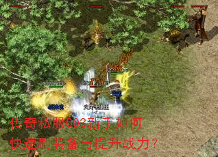 ����˽��003������ο���ˢװ��������ս����