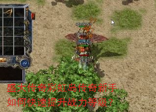 ʢ����ʺ絺����������ο�������ս���ȼ���