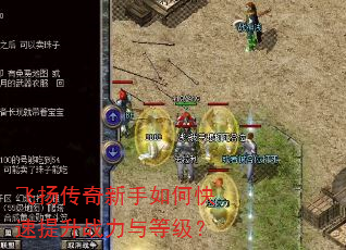 ���ﴫ��������ο�������ս����ȼ���