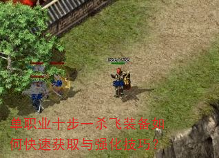 ��ְҵʮ��һɱ��װ����ο��ٻ�ȡ��ǿ�����ɣ�