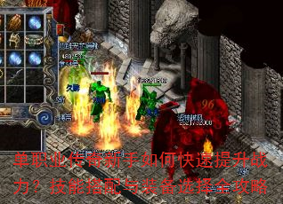 ��ְҵ����������ο�������ս�������ܴ�����װ��ѡ��ȫ����