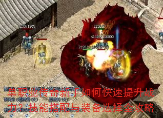 ��ְҵ����������ο�������ս�������ܴ�����װ��ѡ��ȫ����