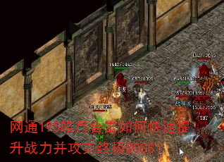 ��ͨ195��ºϻ���ο�������ս���������ռ�BOSS��