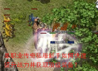 ��ְҵ����˽��������ο�������ս������ȡ����װ����