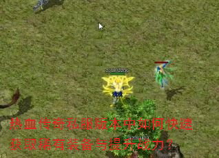 ��Ѫ����˽���汾����ο��ٻ�ȡϡ��װ��������ս����