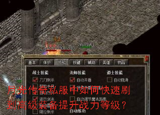 �¹⴫��˽������ο���ˢ���߼�װ������ս���ȼ���