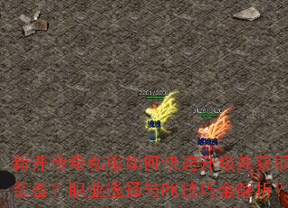 �¿�����˽����ο�����������ȡϡ��װ����ְҵѡ����PK����ȫ������