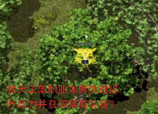 �������ְҵ��ο�������ս������ȡϡ��װ����