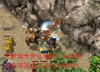 ��Ĭ�洫��˽��������ο��ٻ�ȡ����װ���뼼���飿