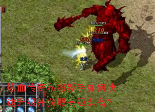 ��Ѫ����˽��������ο�����������ȡ�߼�װ����