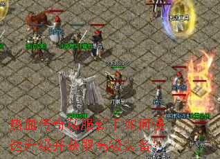 ��Ѫ����˽��������ο�����������ȡ�߼�װ����