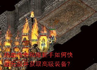 ��Ѫ����˽��������ο�����������ȡ�߼�װ����