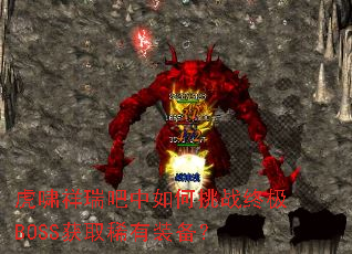 ��Х������������ս�ռ�BOSS��ȡϡ��װ����