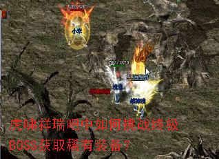 ��Х������������ս�ռ�BOSS��ȡϡ��װ����