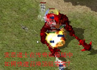 ��̬��ʿ�ڴ���˽��������ο����ٻ�����������