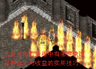 ���洫�����������Щ��������ս���������ʵ�ü��ɣ�