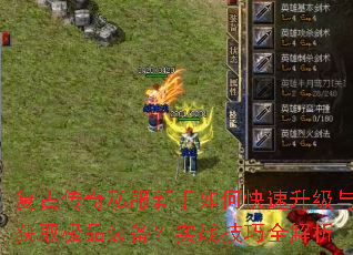 ���Ŵ���˽��������ο����������ȡ��Ʒװ����ʵս����ȫ����