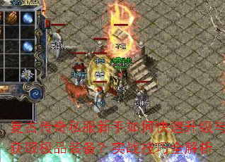 ���Ŵ���˽��������ο����������ȡ��Ʒװ����ʵս����ȫ����