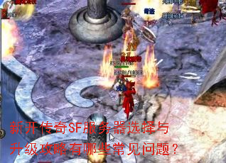 �¿�����SF������ѡ����������������Щ�������⣿