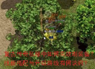 ���Ŵ���˽������θ�Чˢװ�������ܴ���������·���кξ��ϣ�