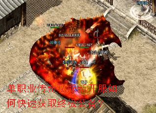 ��ְҵ����˽���¿�����ο��ٻ�ȡ�ռ�װ����