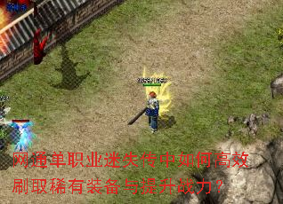 ��ͨ��ְҵ��ʧ������θ�Чˢȡϡ��װ��������ս����