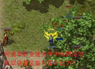 ��ͨ��ְҵ��ʧ������θ�Чˢȡϡ��װ��������ս����