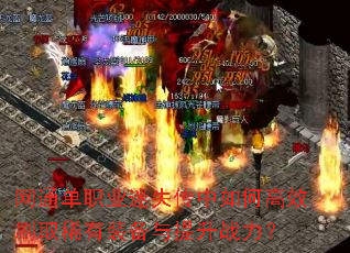 ��ͨ��ְҵ��ʧ������θ�Чˢȡϡ��װ��������ս����