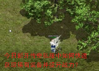 �����¿�����˽������ο��ٻ�ȡϡ��װ��������ս����