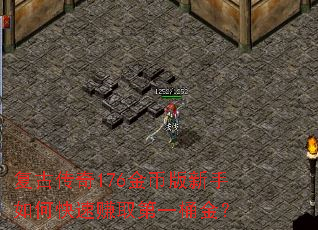 ���Ŵ���176��Ұ�������ο���׬ȡ��һͰ��